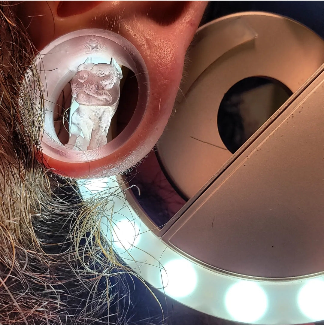 Pitty plugs